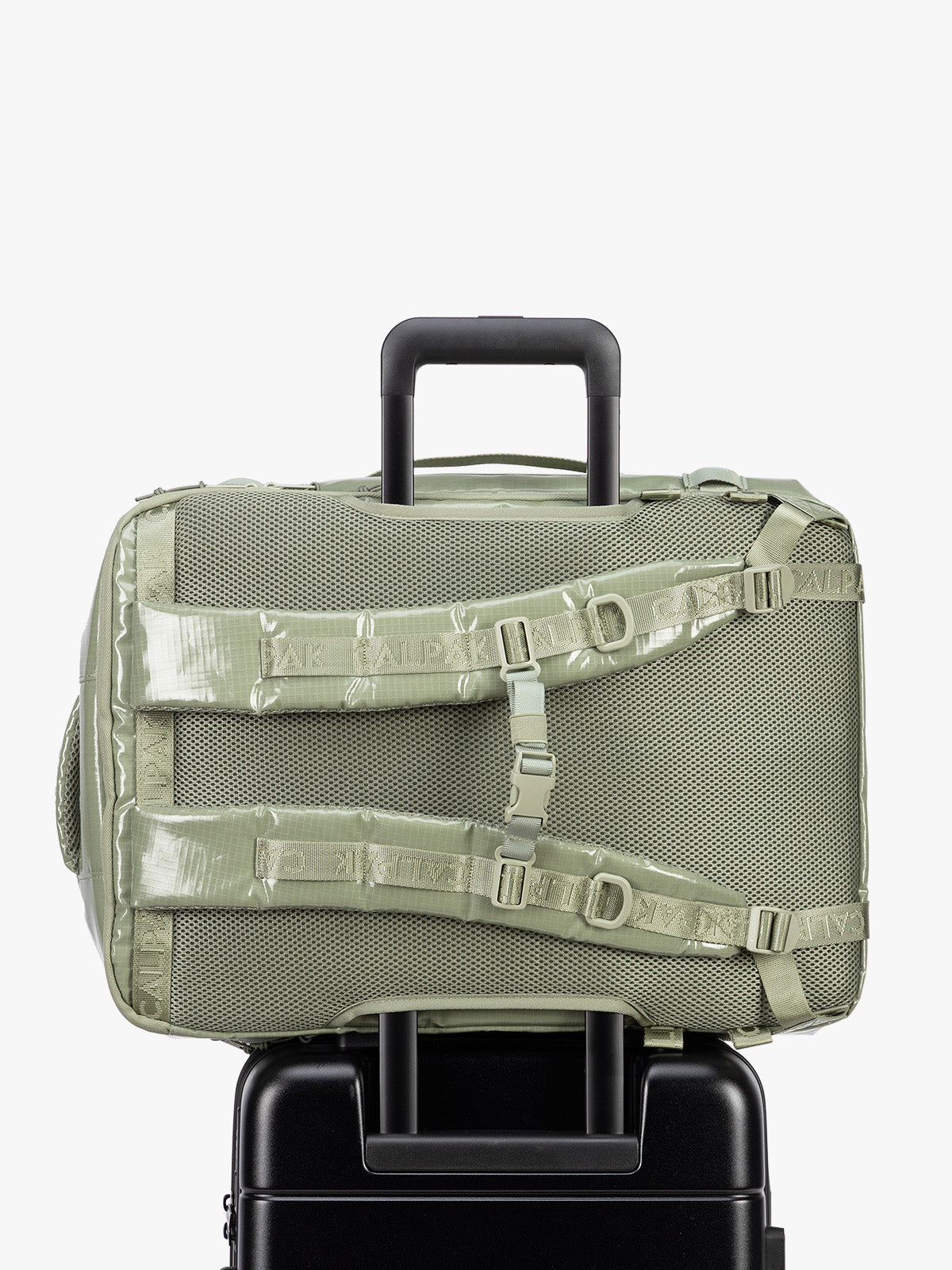 BPTL2601_TERRA_35L-BACKPACK_JUNIPER_5.jpg