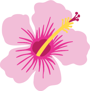 PATCH-HIBISCUS.png