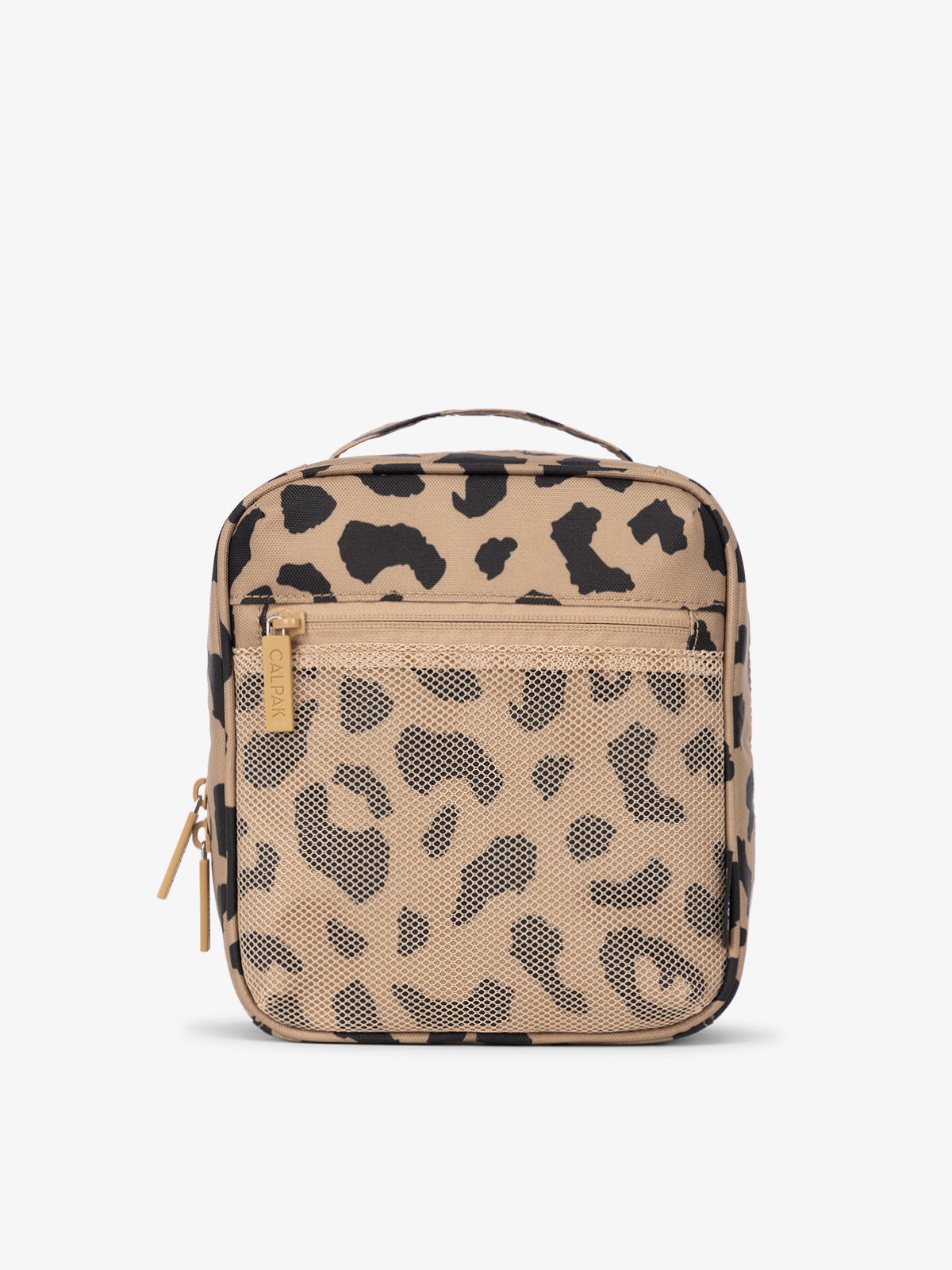 THE-EVERYTHING-CUBE-FRONT-CHEETAH.jpg