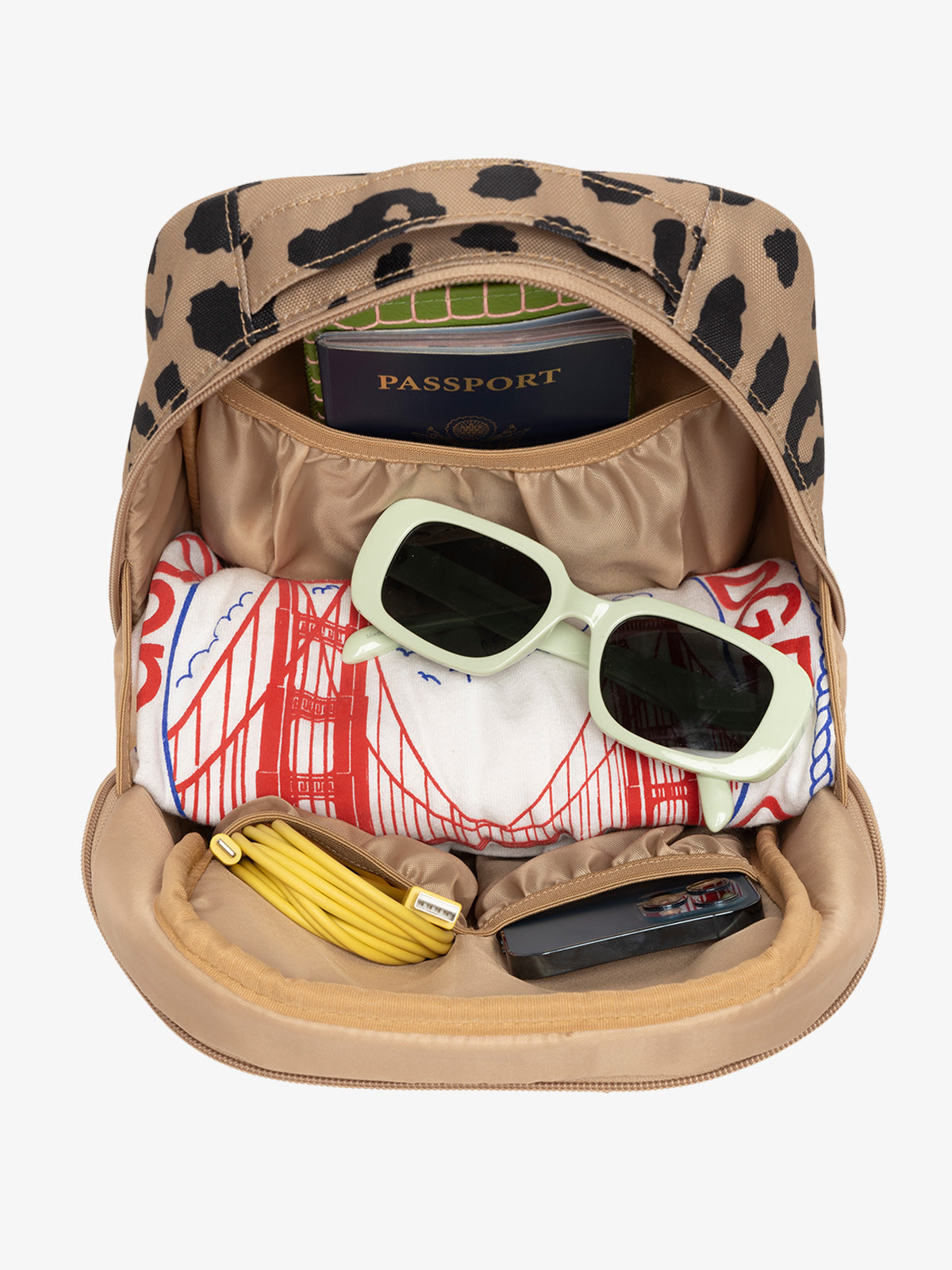 THE-EVERYTHING-CUBE-INTERIOR-CHEETAH.jpg